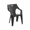Best Sale 😍 Marquee Anthracite Kapri Resin Chair - To Australia ✨